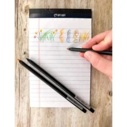 Raymond Geddes Artist Rainbow Writer Pencils -Geddes 5