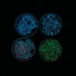 Geddes -Geddes 72380 006