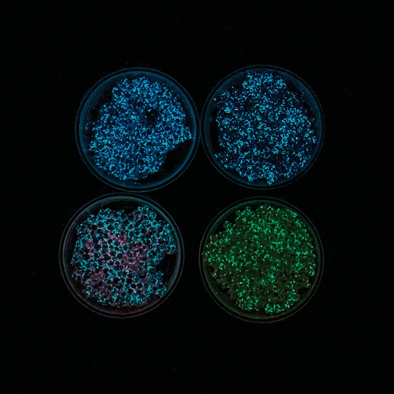 Raymond Geddes Glow In The Dark Glops & Dots Modeling Foam 4 Raymond Geddes Glow In The Dark Glops & Dots Modeling Foam - Image 2